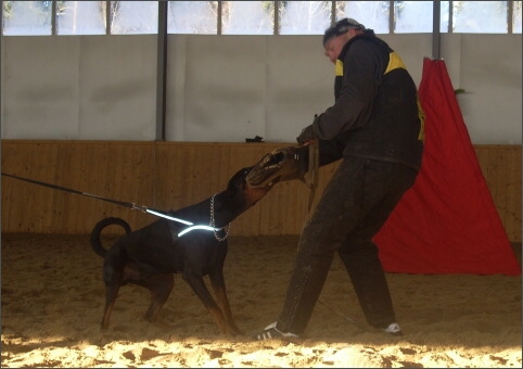 Training in Finland 11/2007